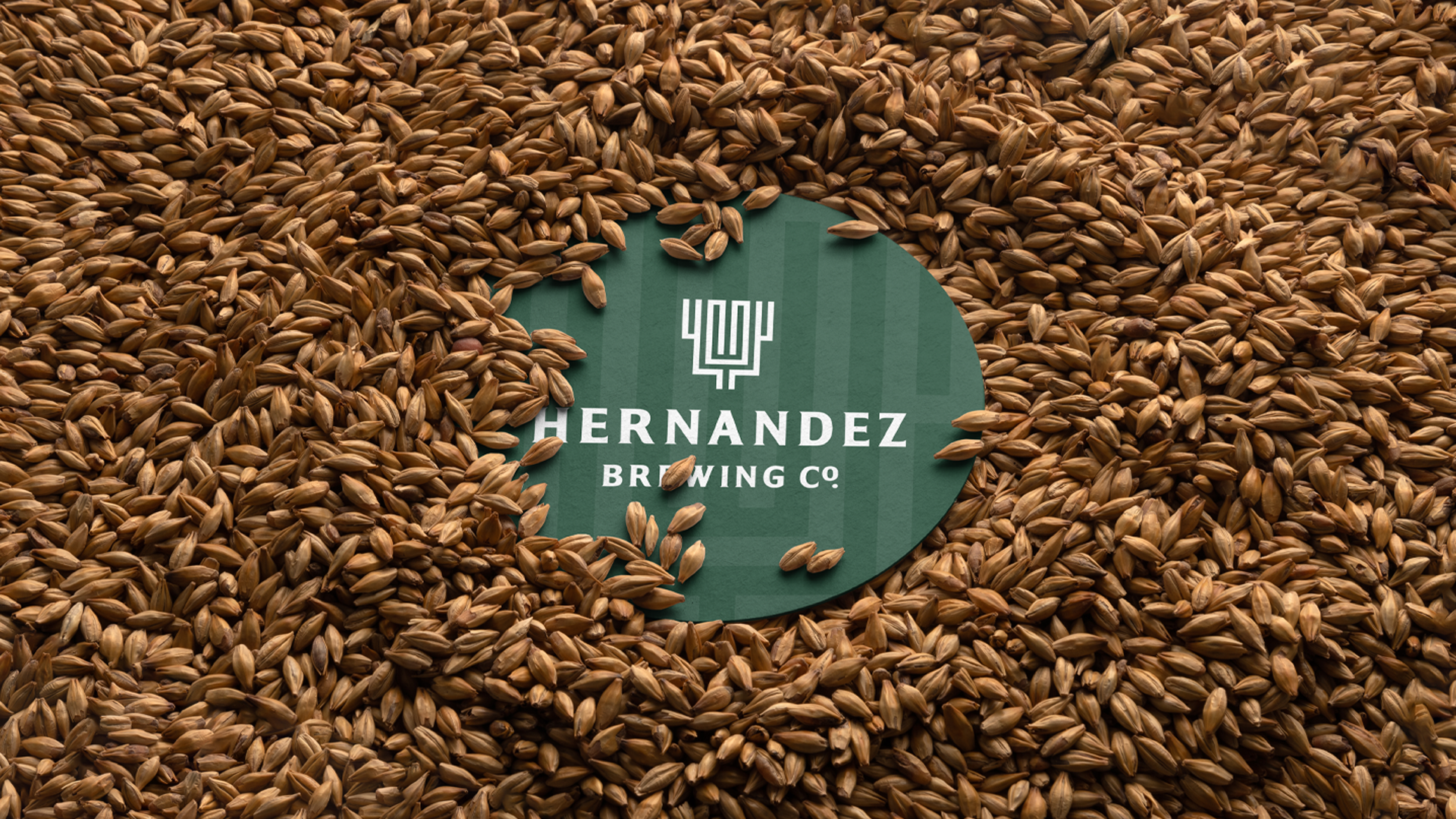 Hernandez 精酿啤酒包装设计(图3)